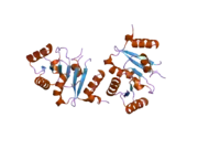 2p6n: Human DEAD-box RNA helicase DDX41, helicase domain