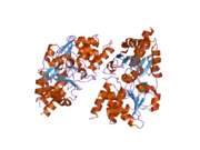 2pq5: Crystal structure of Dual specificity protein phosphatase 13 (DUSP13)