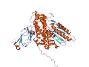 2q8i: Pyruvate dehydrogenase kinase isoform 3 in complex with antitumor drug radicicol