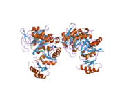 2qk4: Human glycinamide ribonucleotide synthetase