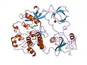 2src: CRYSTAL STRUCTURE OF HUMAN TYROSINE-PROTEIN KINASE C-SRC, IN COMPLEX WITH AMP-PNP