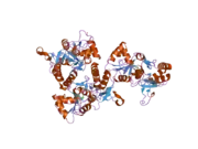 2uxa: CRYSTAL STRUCTURE OF THE GLUR2-FLIP LIGAND BINDING DOMAIN, R/G UNEDITED.