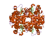 3d17: A triply ligated crystal structure of relaxed state human hemoglobin