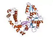 9icn: DNA POLYMERASE BETA (E.C.2.7.7.7)/DNA COMPLEX + 2',3'-DIDEOXYCYTIDINE-5'-TRIPHOSPHATE, SOAKED IN THE PRESENCE OF DDCTP AND MGCL2