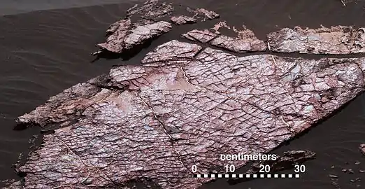 Rock slab, named "Old Soaker", which may contain mud cracks – as viewed by Curiosity (December 20, 2016).