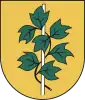 Coat of arms of Bluszczów