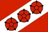 Flag of Gmina Brzeg Dolny