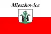 Flag of Mieszkowice