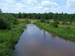 Radomka river near Ryczywół