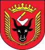 Coat of arms of Gmina Wiskitki