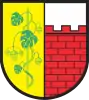Coat of arms of Witnica