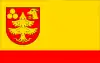 Flag of Gmina Pionki