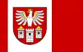 Flag of Będziński County