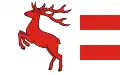 Flag of Brodnicki County