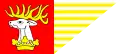 Flag of Lubelski County