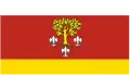 Flag of Poddębice County
