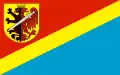 Flag of Radziejowski County