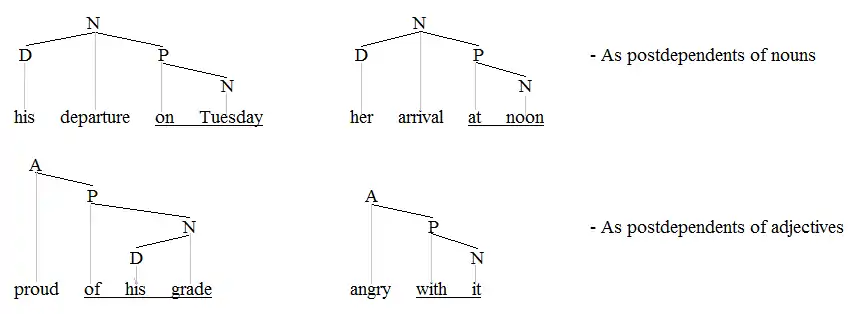 PPs on nouns and adjectives