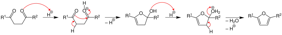 Paal-Knorr furan synthesis mechanism