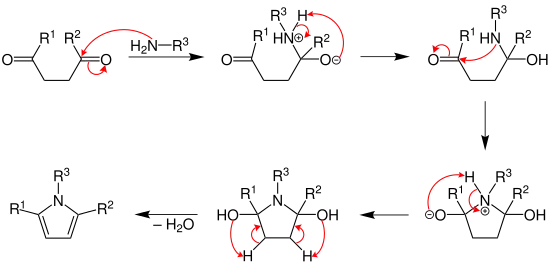 Paal–Knorr pyrrole synthesis mechanism