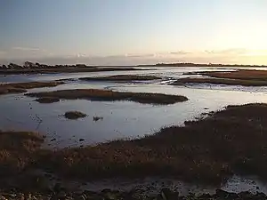 Pagham Harbour