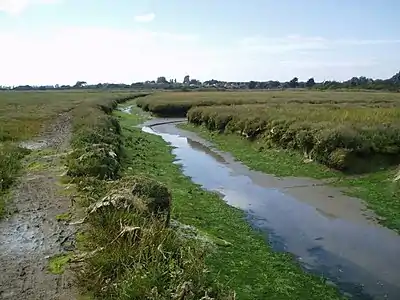 Pagham Harbour