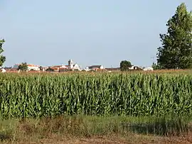 The town seen from the west