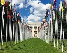 A long row of flags