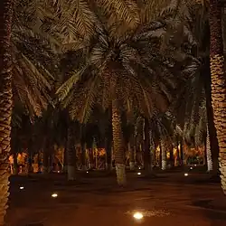 The One Hundred Palm Trees Park in Al Murabba