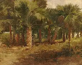 Bror Anders Wikstrom, Palmettos in City Park, New Orleans, 1900
