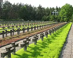 Cemetery in Palmiry