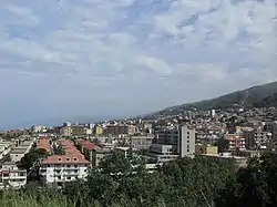 Panoramic view