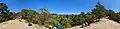 Panoramic view of the top of the Natural Bridge arch.