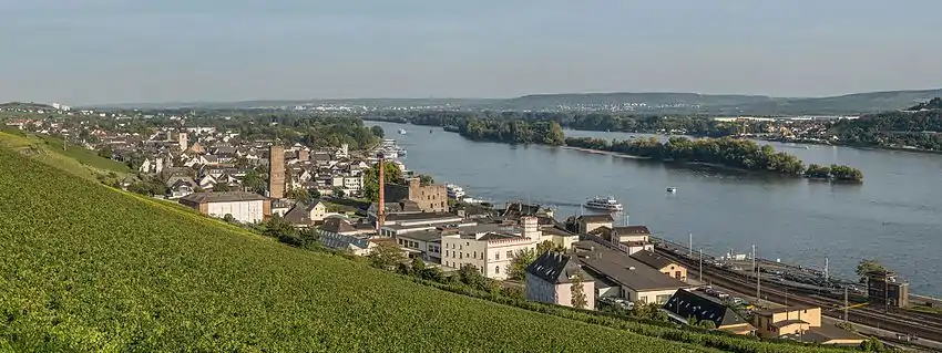 Rüdesheim seen from nearby vineyards