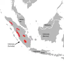 Distribution of the Sumatran tiger