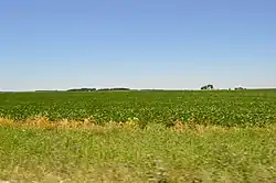 Fields west of Beaverville