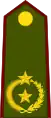 General de brigada(Paraguayan Army)