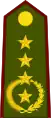 General de ejército(Paraguayan Army)