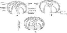 Drawings of clamps