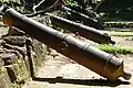 Cannons at Forte Defensor
