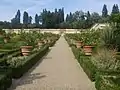 The citrus garden contains more than five hundred pots of lemon and orange trees.