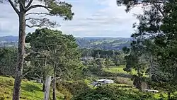 View from Pāremoremo Road of rural Pāremoremo, looking towards Coatesville