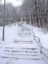 Stairs to the hill