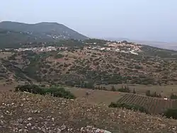 Parod in Galilee