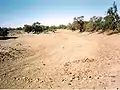 The dry Paroo River, near Wilcannia