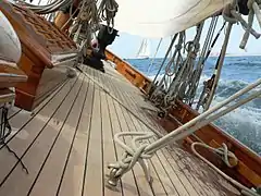 Partridge 1885 - onboard