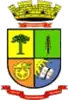Official seal of Passo Fundo