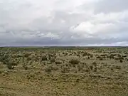 Cold Patagonian steppe near Fitz Roy, Argentina