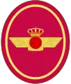 Patch of the"Plus Ultra" Squadron