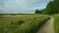 The graveled hiking trail south of Årslev Engsø.